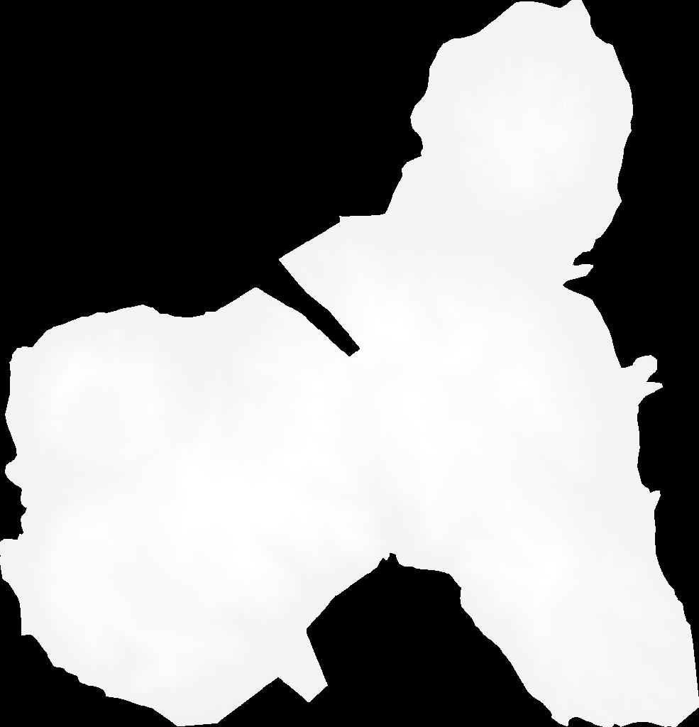 NSCES Repository